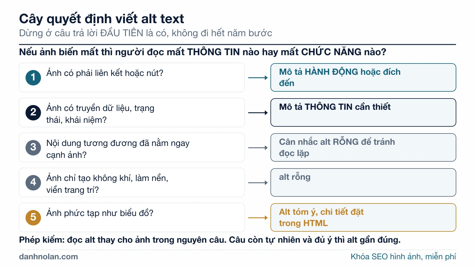 Sơ đồ cây quyết định viết alt text: năm câu hỏi theo thứ tự, kết quả tương ứng là mô tả hành động, mô tả thông tin, cân nhắc alt rỗng, alt rỗng, hoặc alt tóm ý kèm chi tiết trong HTML