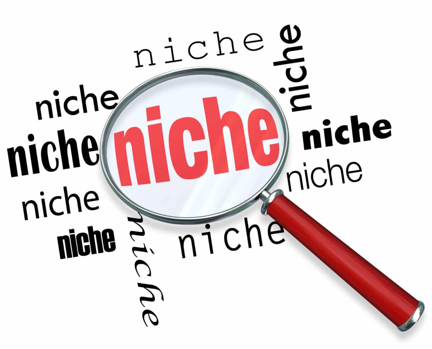 Nhắm vào các thị trường ngách tránh mức độ cạnh tranh lớn