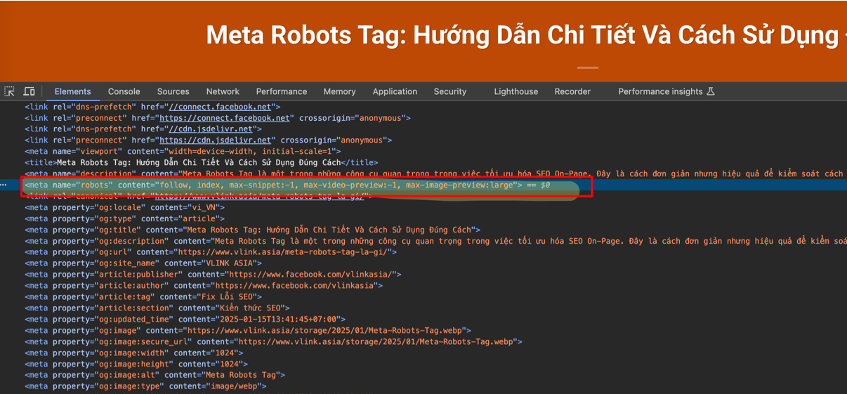 Meta robots tag