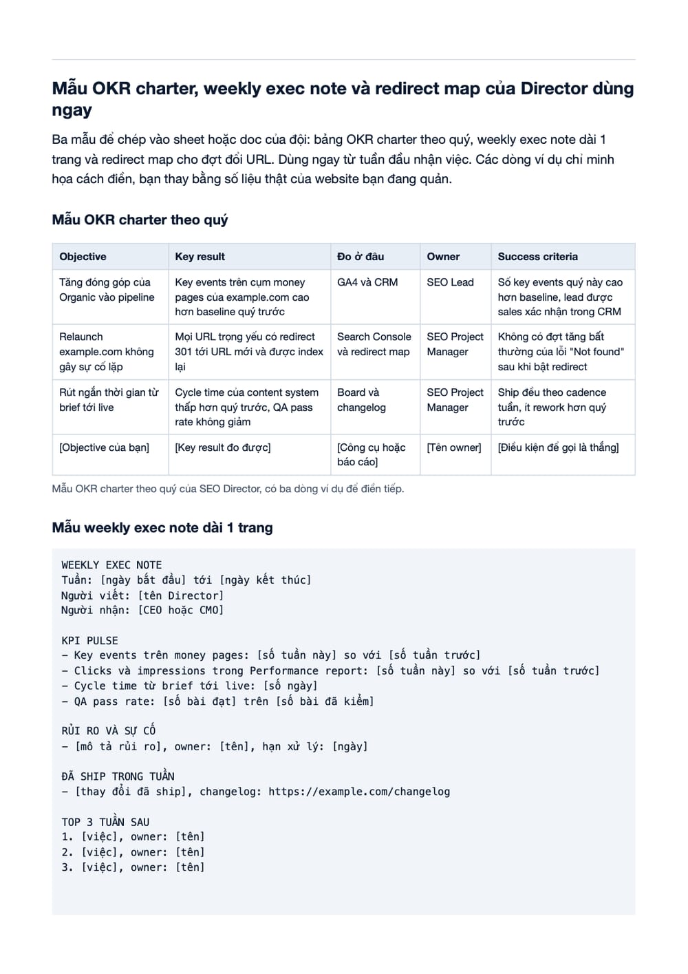 Trang 12 bản PDF của tài liệu SEO Director / Growth Director là gì? Vai trò, kỹ năng, KPI & Hệ vận, phần có bảng
