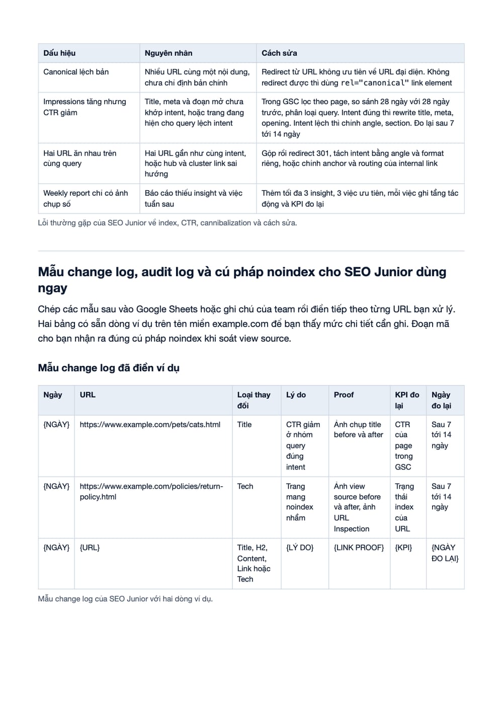 Trang 14 bản PDF của tài liệu SEO Junior là gì? Vai trò, Kỹ năng, KPI & Deliverables, phần có bảng