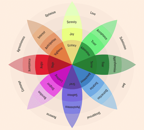 Bánh xe cảm xúc dạng hoa nhiều cánh màu, mỗi cánh là một nhóm cảm xúc và các mức độ của nó